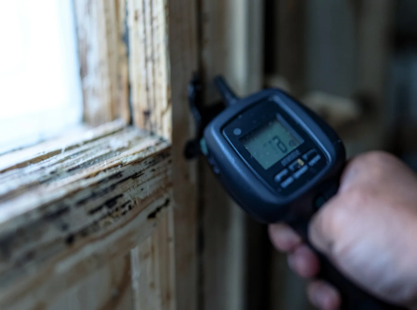 Moisture Inspection And Documentation in Georgetown, GA